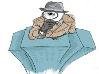 策勒县取证公司解说第三者承担离婚赔偿责任吗